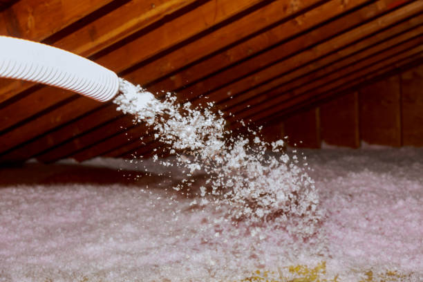 Types of Insulation We Offer in Elgin, IL