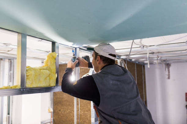 Best Energy Efficiency Insulation in Elgin, IL