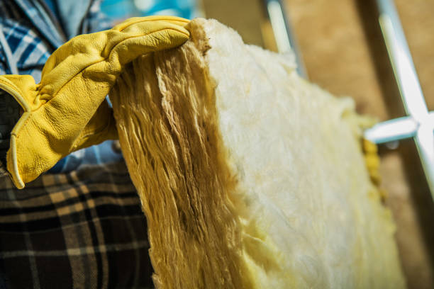 Best Cellulose Insulation in Elgin, IL