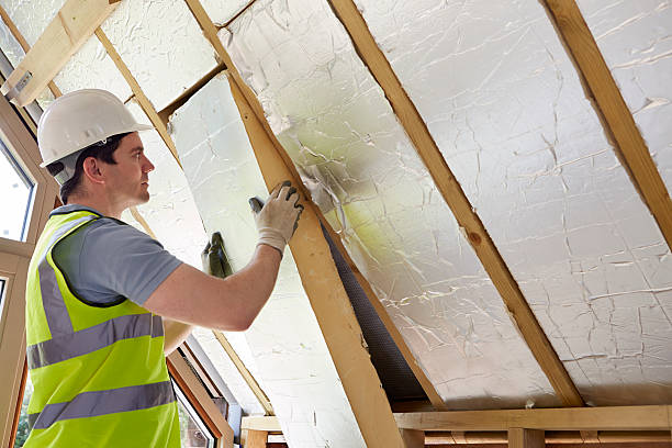 Best Geographic-Specific Insulation Services in Elgin, IL