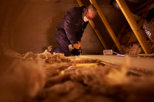 Best Specialized Insulation Services in Elgin, IL